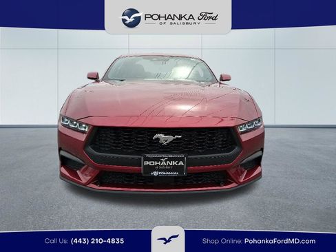 Used 2025 Ford Mustang Premium RWD image 2