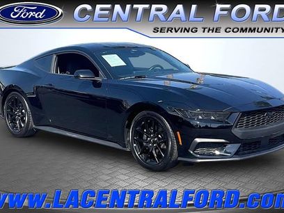 Certified 2025 Ford Mustang Coupe w/ Mustang Nite Pony Package