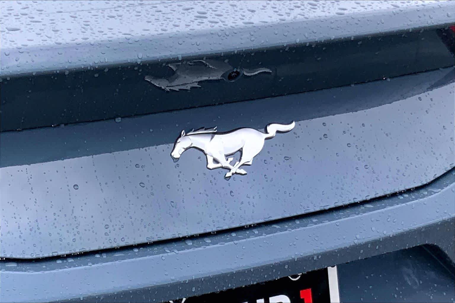 New 2026 Ford Mustang Coupe RWD image 14