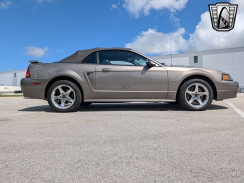 Used 2001 Ford Mustang Cobra image 7