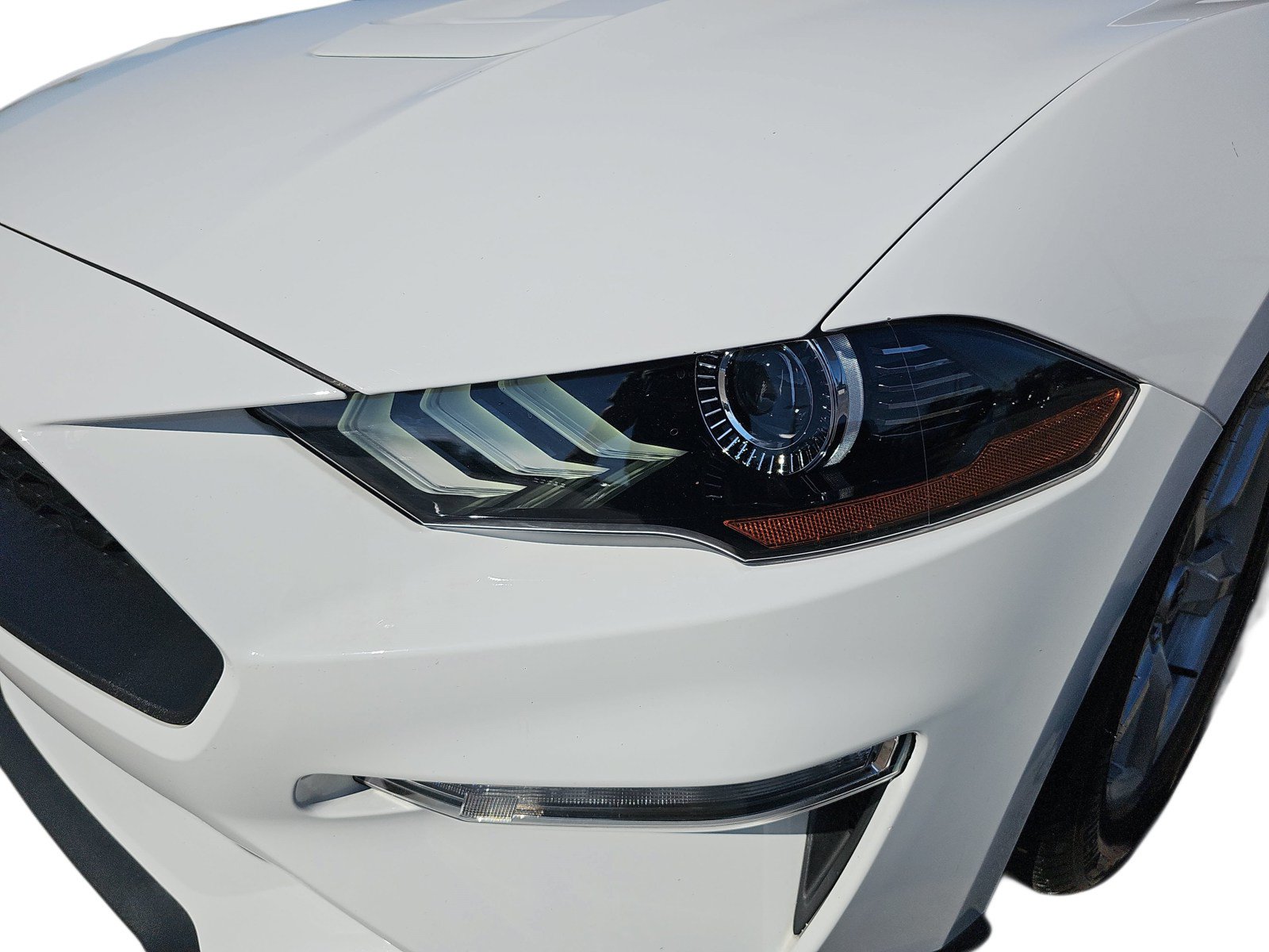 Used 2019 Ford Mustang Convertible RWD image 28