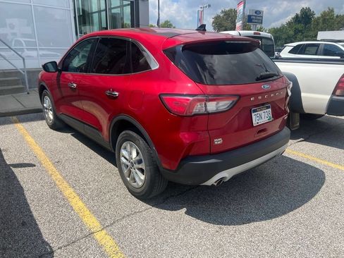 Used 2020 Ford Escape SE AWD/4WD image 4