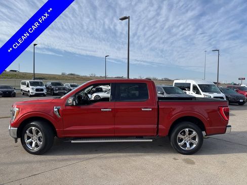 Used 2023 Ford F150 XLT w/ Equipment Group 302A High image 3