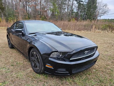 Used 2014 Ford Mustang Premium image 1