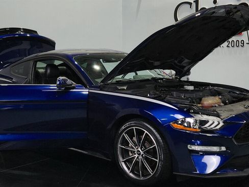 Used 2019 Ford Mustang Premium w/ Equipment Group 201A RWD image 15