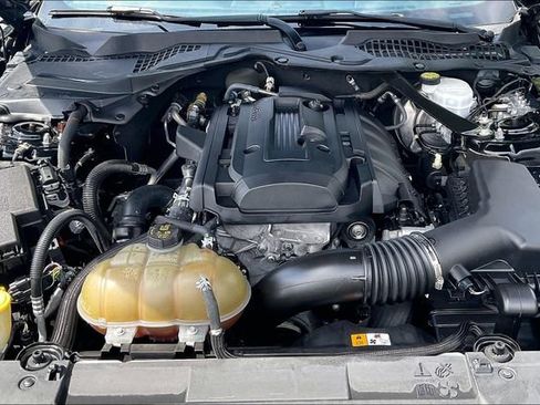 Used 2018 Ford Mustang Premium w/ Equipment Group 201A RWD image 10
