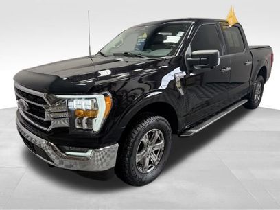 Used 2023 Ford F150 XLT w/ Equipment Group 302A High