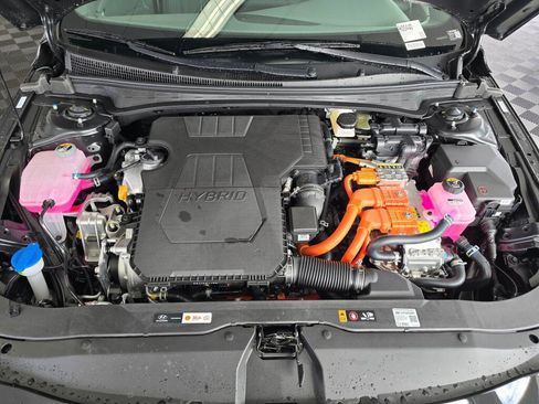 New 2026 Hyundai Elantra Blue image 12