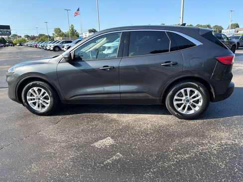 Used 2020 Ford Escape SE FWD image 5