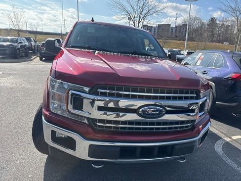 Used 2019 Ford F150 XLT w/ Equipment Group 302A Luxury image 12