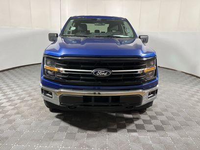 Used 2025 Ford F150 XLT w/ Equipment Group 301A Standard