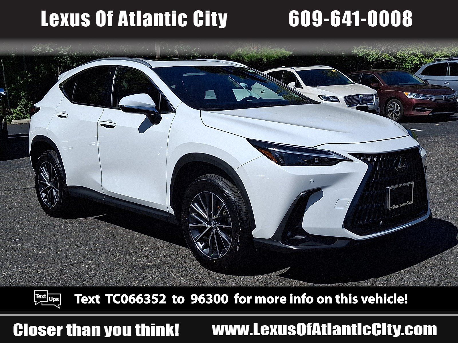 Used 2026 Lexus NX 350h AWD w/ Cold Area Package image 1