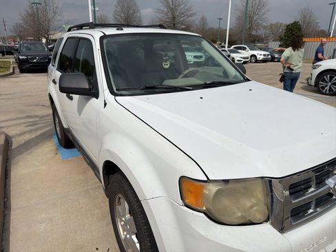 Used 2011 Ford Escape XLT w/ Cargo Pkg image 2