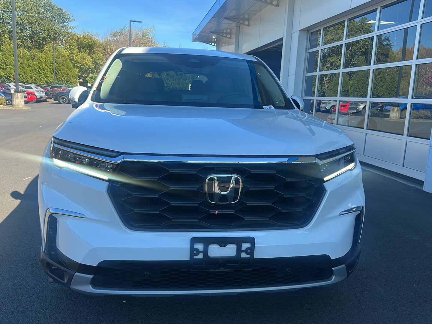 Used 2025 Honda Pilot EX-L image 5