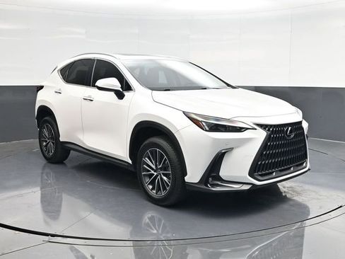 Used 2024 Lexus NX 250 FWD image 1