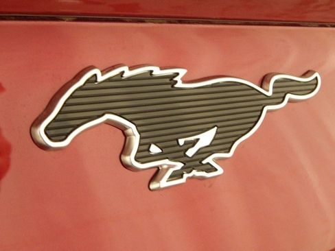 New 2025 Ford Mustang Mach-E Premium w/ Interior Protection Package image 5