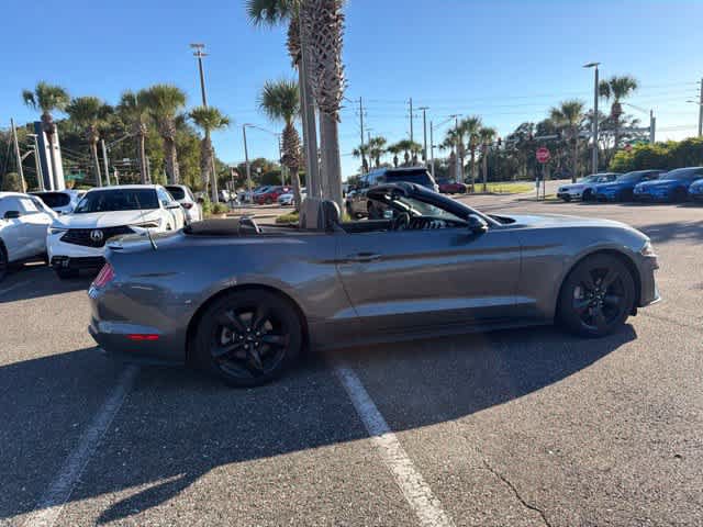 Used 2023 Ford Mustang Premium w/ Mustang Nite Pony Package RWD image 12