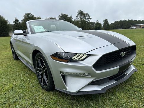 Used 2019 Ford Mustang Premium image 3