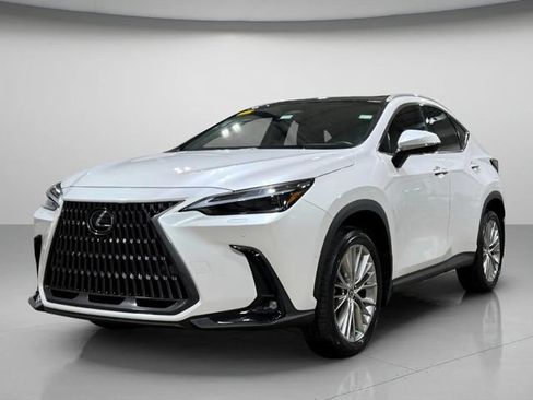 Used 2025 Lexus NX 350h AWD w/ Cold Area Package image 8