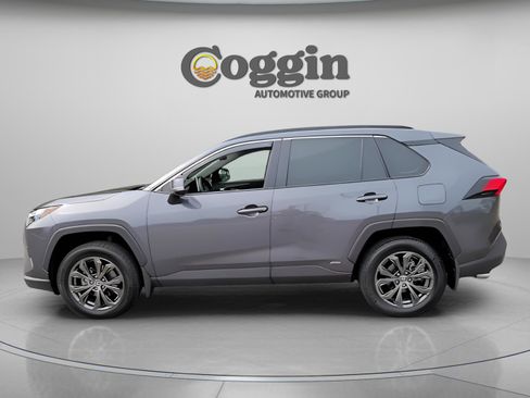 Used 2023 Toyota RAV4 XLE Premium image 5