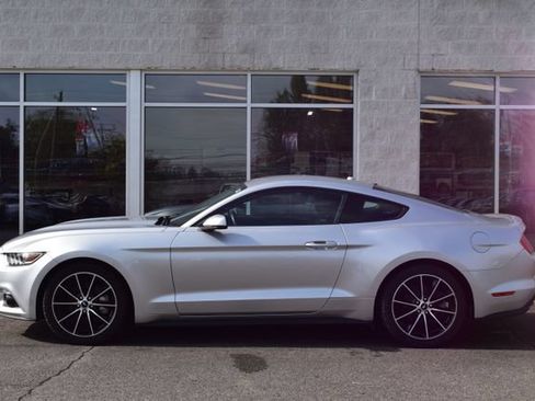 Used 2016 Ford Mustang Premium w/ Wheel & Stripe Package RWD image 2
