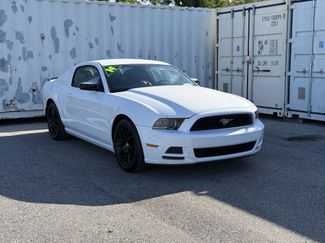 Used 2014 Ford Mustang Coupe w/ FP6 Appearance Package RWD video 2