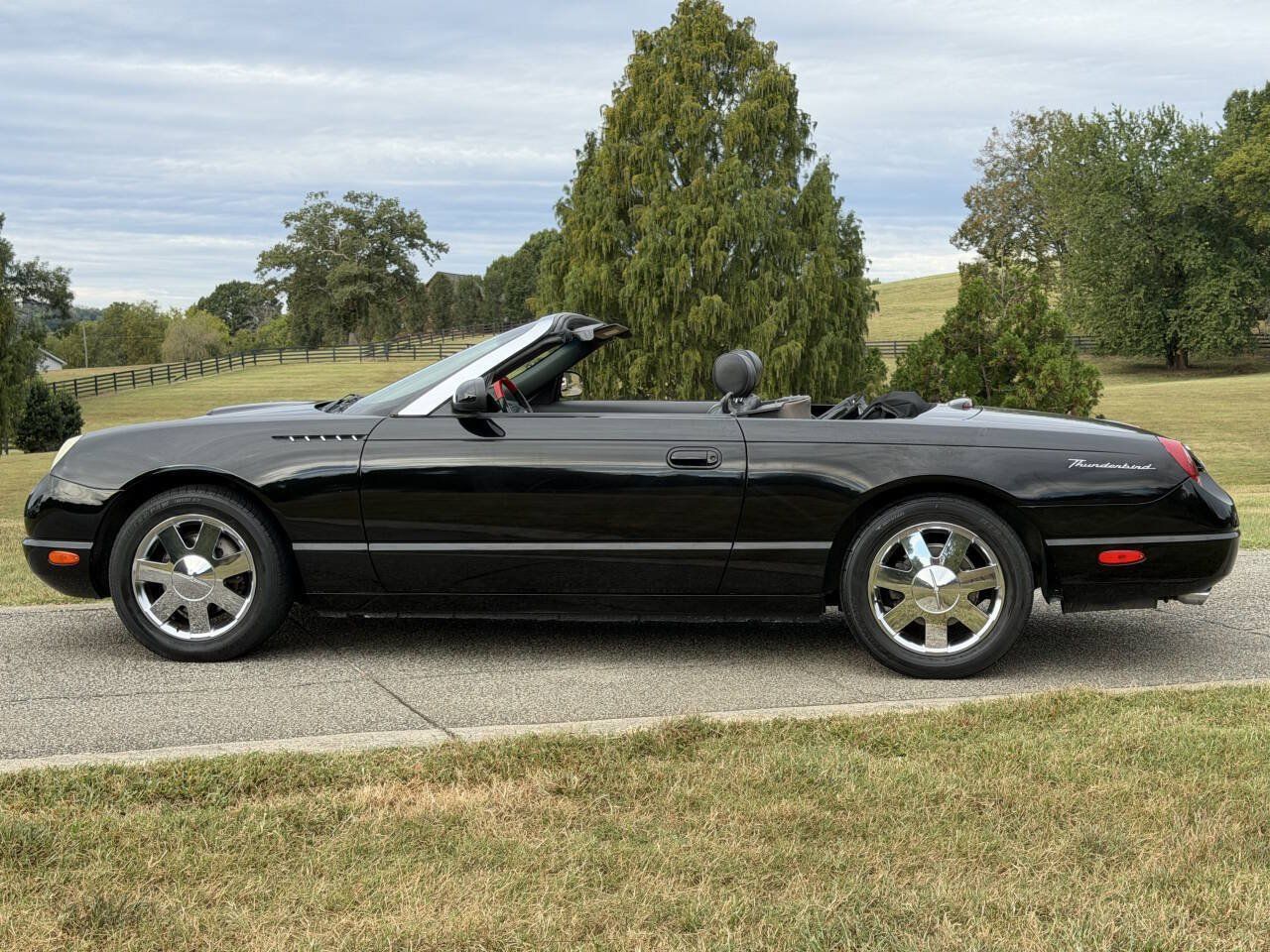Used 2002 Ford Thunderbird RWD image 5