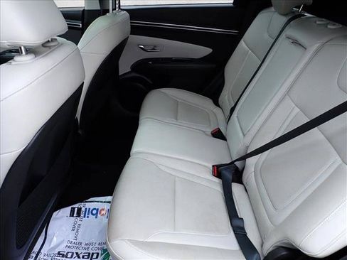 Used 2023 Hyundai Tucson Limited AWD/4WD image 9
