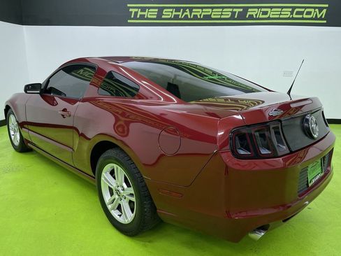 Used 2014 Ford Mustang Coupe w/ Equipment Group 102A image 7
