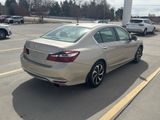 Used 2017 Honda Accord EX-L image 5