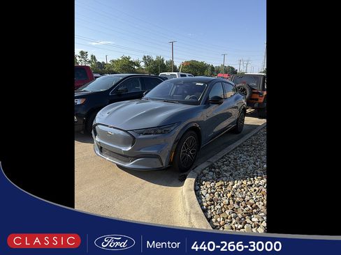Used 2024 Ford Mustang Mach-E Premium AWD/4WD image 1