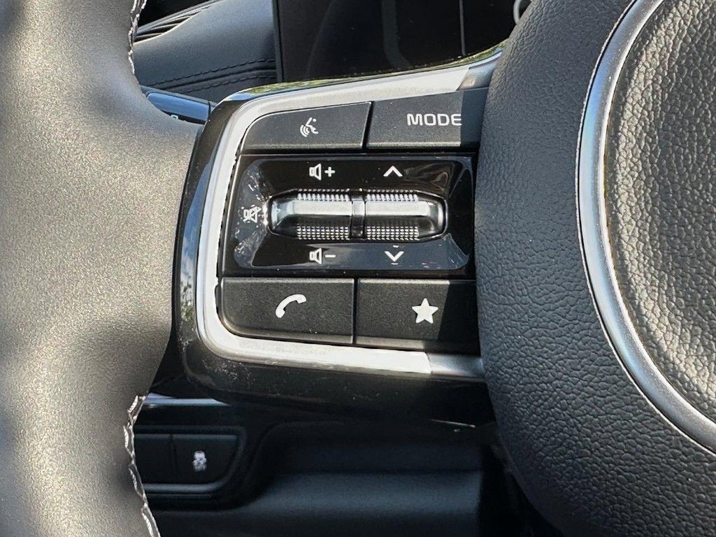 New 2026 Kia Carnival SX Prestige FWD image 13