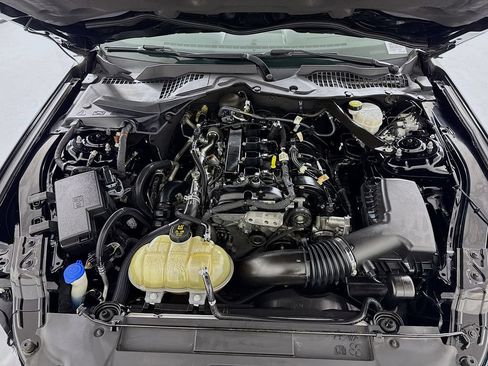 Used 2021 Ford Mustang Premium RWD image 25