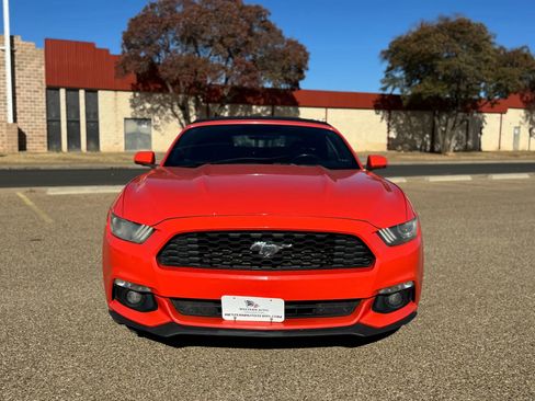 Used 2015 Ford Mustang Premium w/ Equipment Group 201A image 2