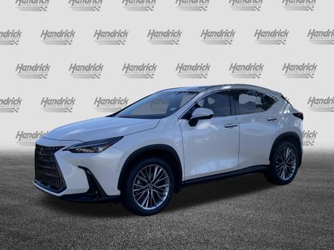 Used 2025 Lexus NX 350 AWD w/ Cold Area Package image 5