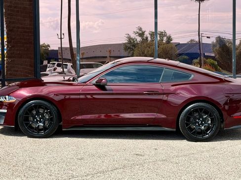 Used 2018 Ford Mustang Premium w/ Ecoboost Performance Package RWD image 5