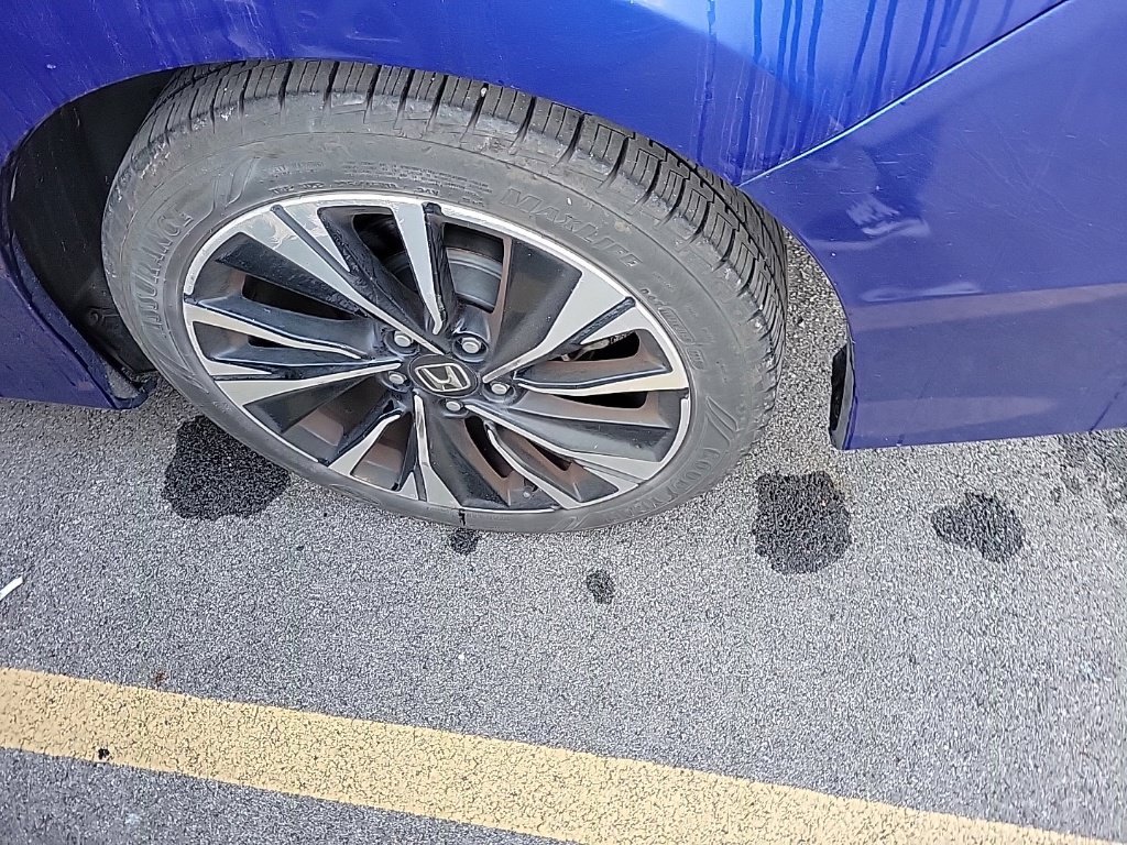 Used 2017 Honda Accord EX-L image 5