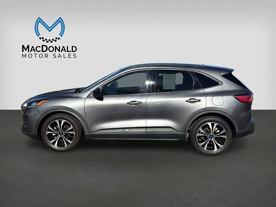 Used 2021 Ford Escape SE w/ SE Sport Appearance Package FWD image 4