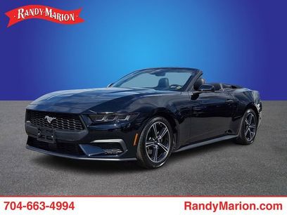 Used 2025 Ford Mustang Premium