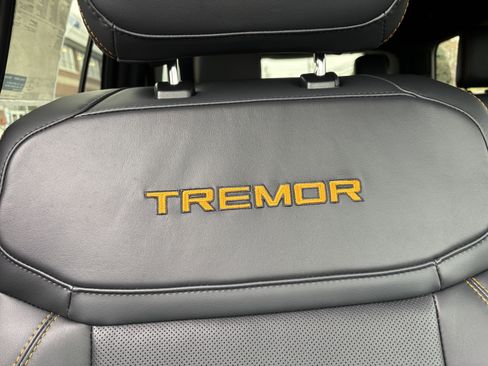 New 2025 Ford Expedition Tremor image 24