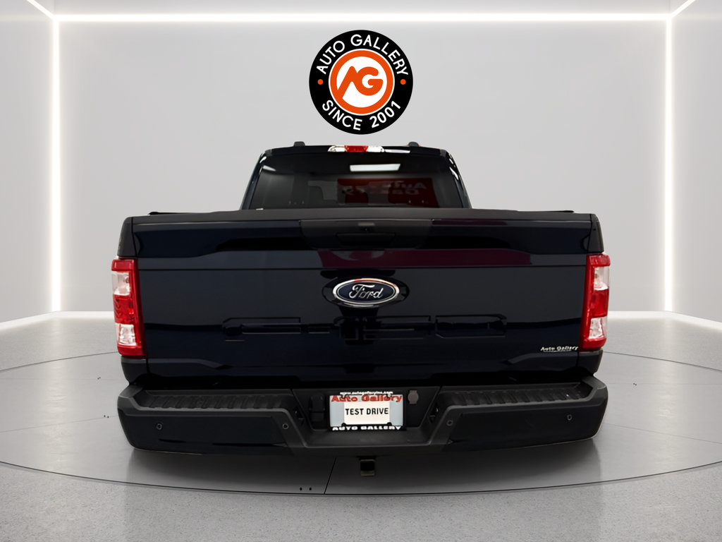 Used 2023 Ford F150 XL w/ STX Appearance Package AWD/4WD image 6