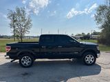 Used 2014 Ford F150 XLT w/ Equipment Group 302A Luxury image 6