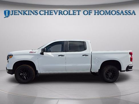 Used 2024 Chevrolet Silverado 1500 Custom Trail Boss AWD/4WD image 9