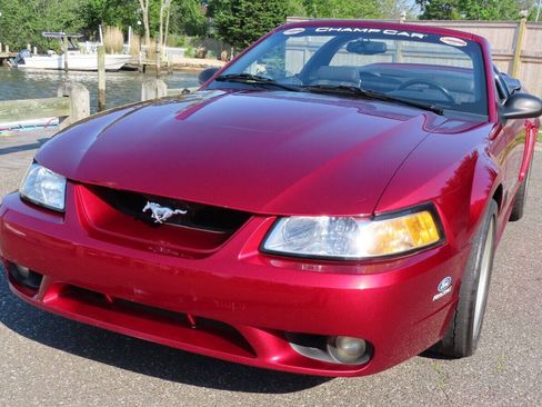 Used 1999 Ford Mustang Cobra RWD image 8