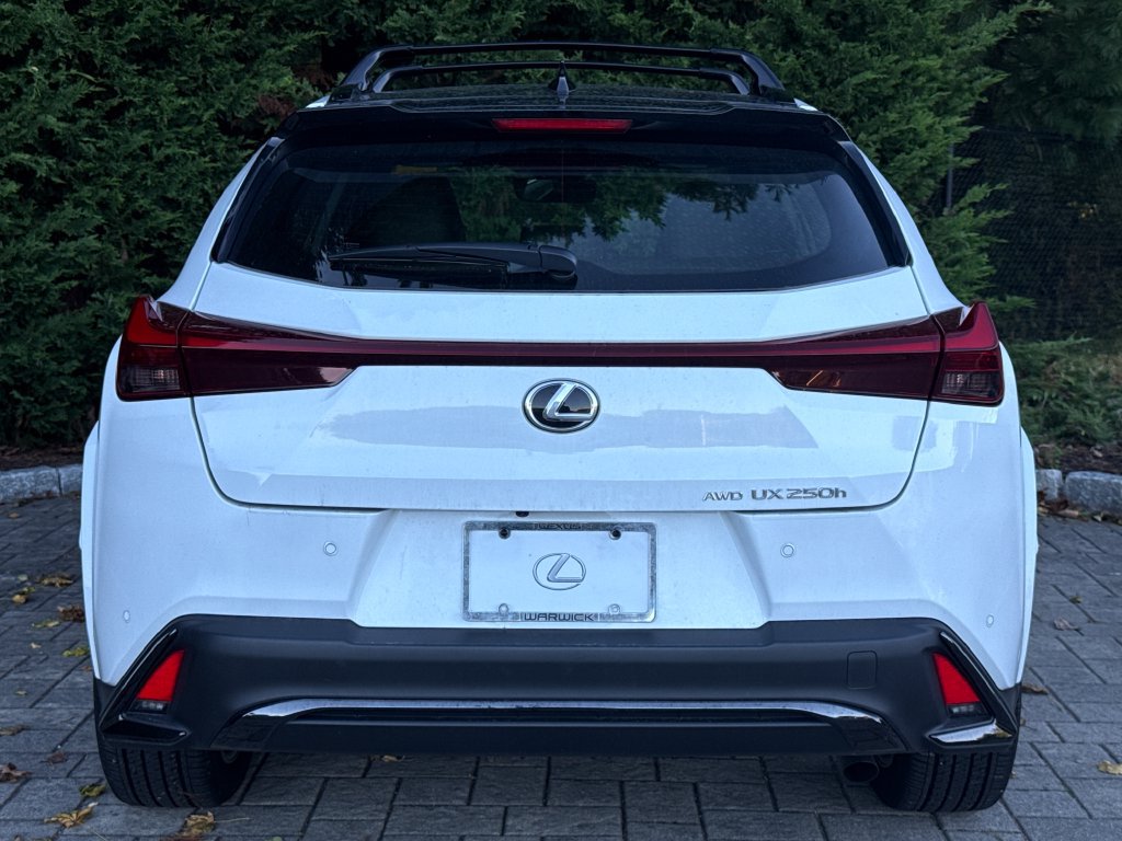 Used 2024 Lexus UX 250h F Sport AWD/4WD image 6