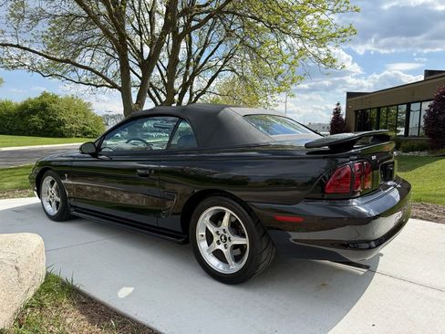 Used 1996 Ford Mustang Cobra RWD image 4