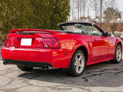 Used 1999 Ford Mustang Cobra RWD image 8