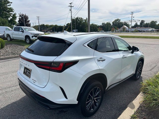 Used 2024 Lexus NX 350 AWD w/ Cold Area Package image 5