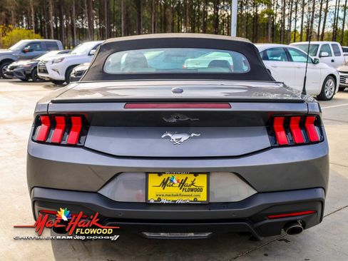 Used 2024 Ford Mustang Premium RWD image 6