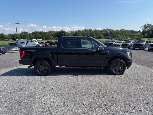 Used 2023 Ford F150 XLT w/ Equipment Group 302A High AWD/4WD image 14